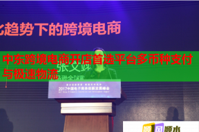 中東跨境電商開(kāi)店首選平臺(tái)多幣種支付與極速物流