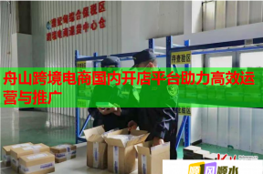 舟山跨境電商國內(nèi)開店平臺助力高效運營與推廣