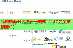 跨境電商開(kāi)店注冊(cè)一站式平臺(tái)助力全球銷(xiāo)售(1)