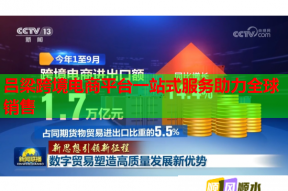 呂梁跨境電商平臺(tái)一站式服務(wù)助力全球銷(xiāo)售