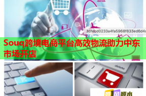 Souq跨境電商平臺(tái)高效物流助力中東市場(chǎng)開店