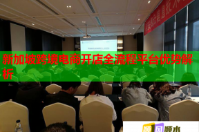 新加坡跨境電商開店全流程平臺優勢解析