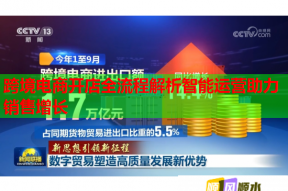跨境電商開店全流程解析智能運(yùn)營助力銷售增長(zhǎng)