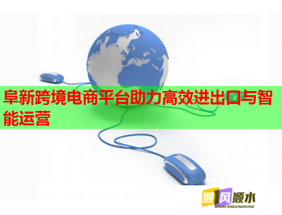 阜新跨境電商平臺(tái)助力高效進(jìn)出口與智能運(yùn)營  第2張
