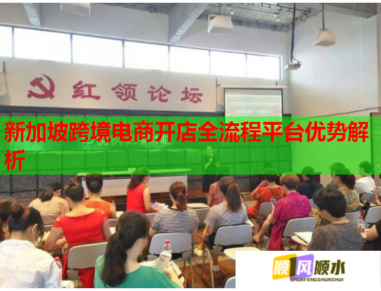 新加坡跨境電商開店全流程平臺優勢解析  第2張